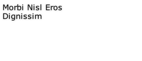 Morbi Nisl Eros
Dignissim