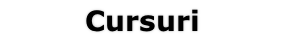 Cursuri